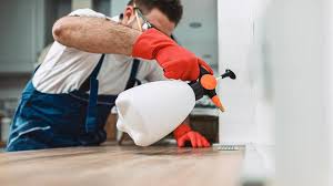 Emergency Pest Control Services in South Kensington, MD